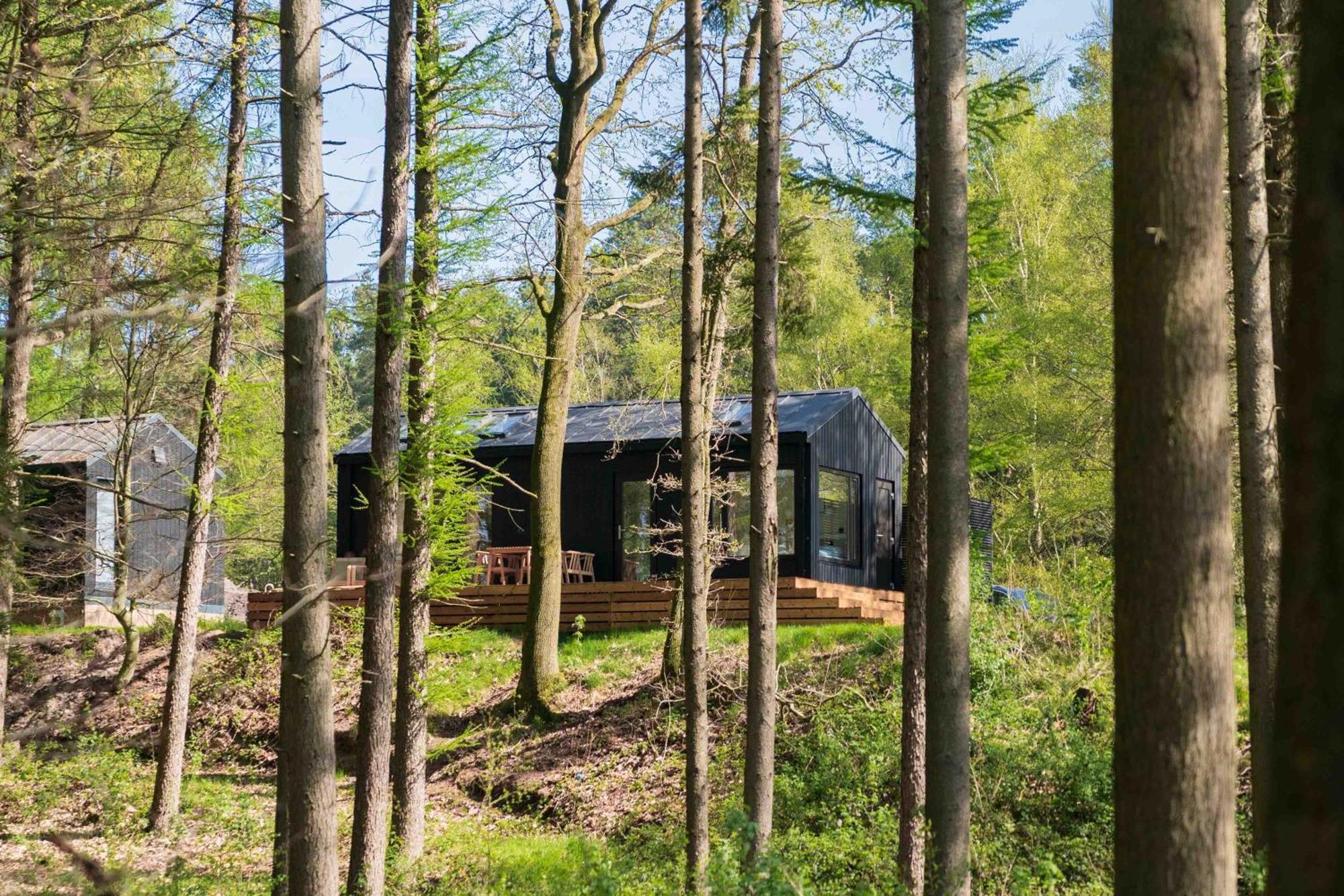 Resort Wilsumer Berge Exteriör bild