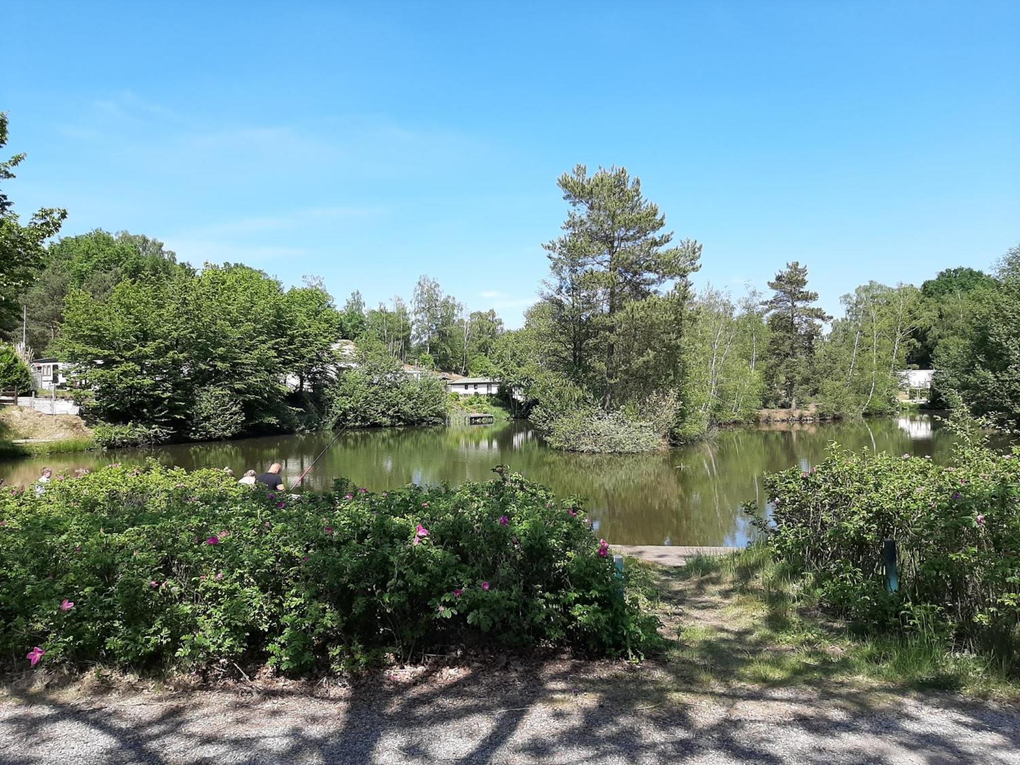 Resort Wilsumer Berge Rum bild