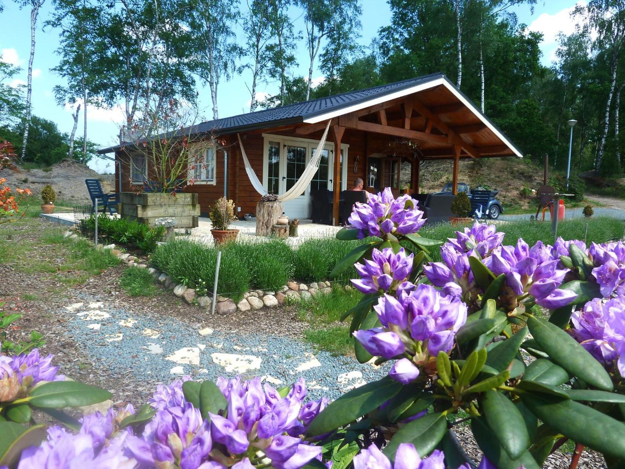 Resort Wilsumer Berge Rum bild